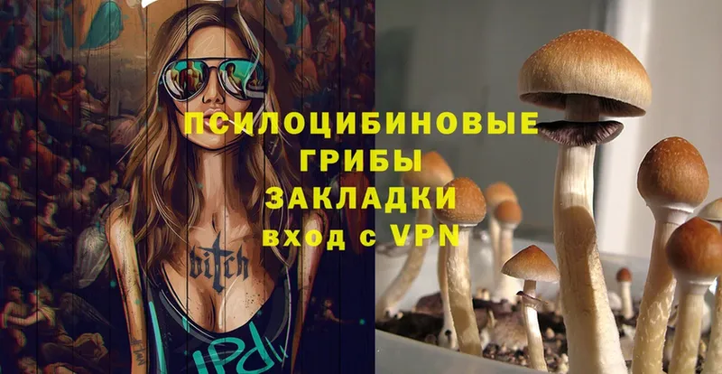 Галлюциногенные грибы Psilocybine cubensis  Старая Купавна 